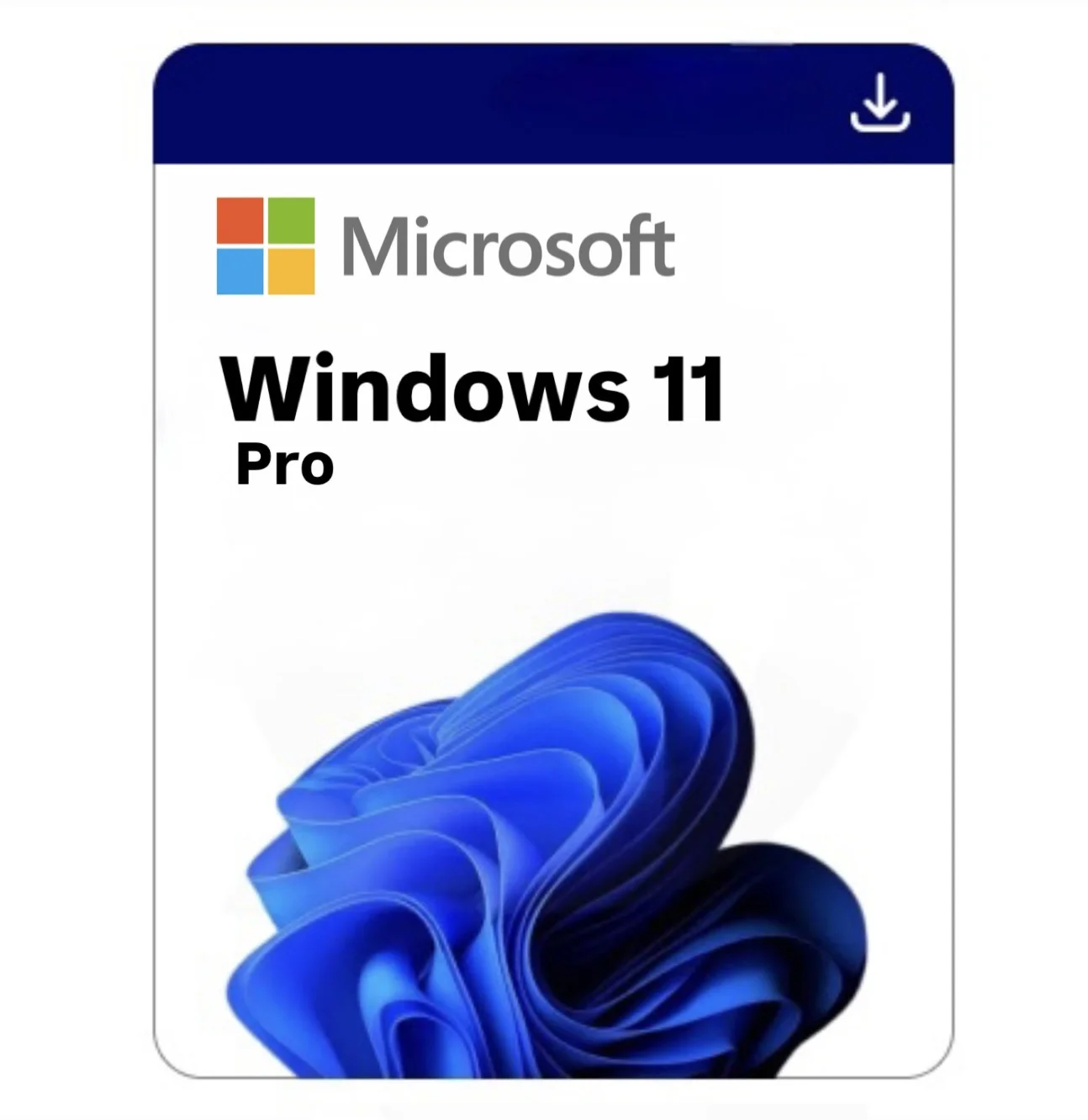 Microsoft WINDOWS 10/11 PRO/HOME