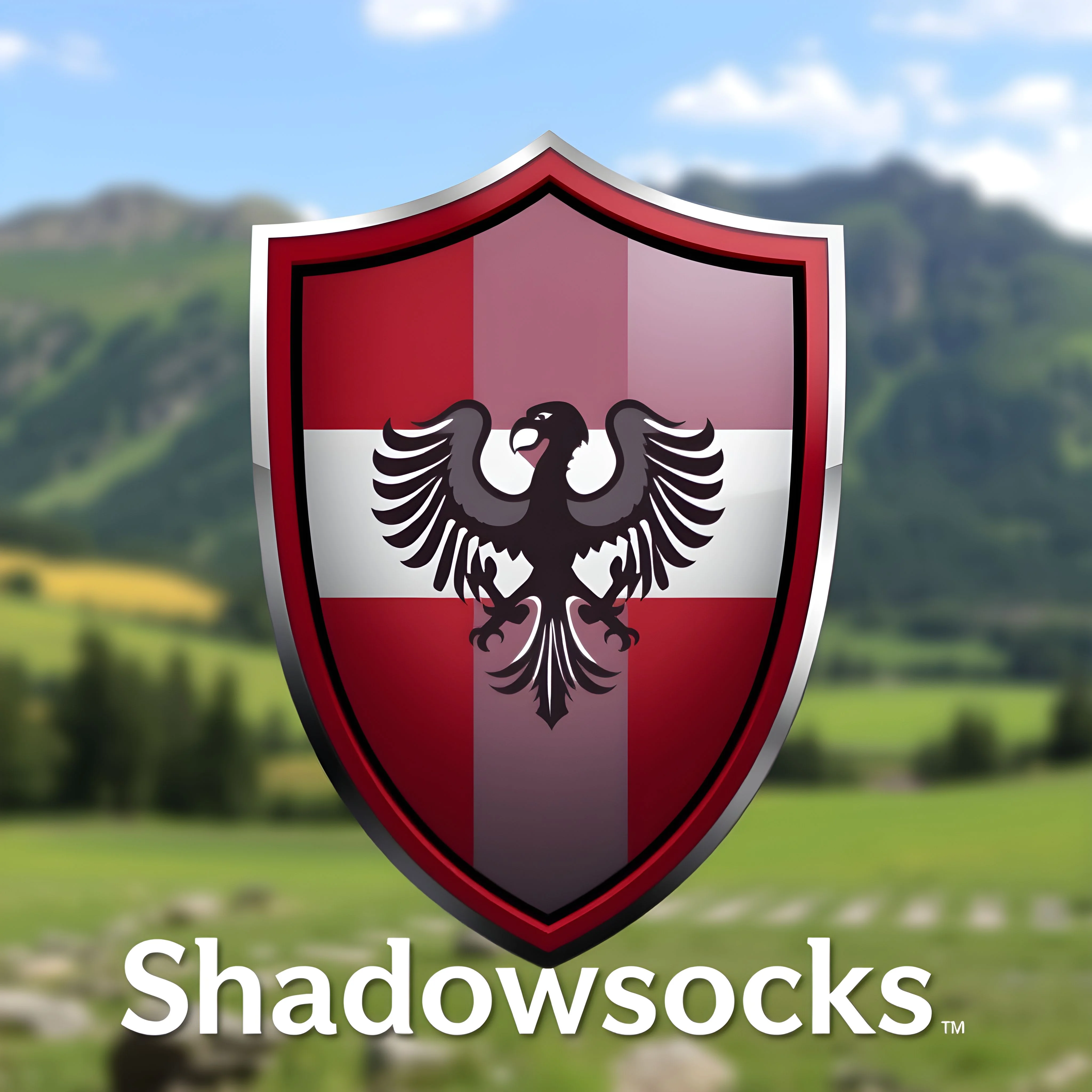 Личный VPN Вена Автовыдача VLESS Shadowsocks