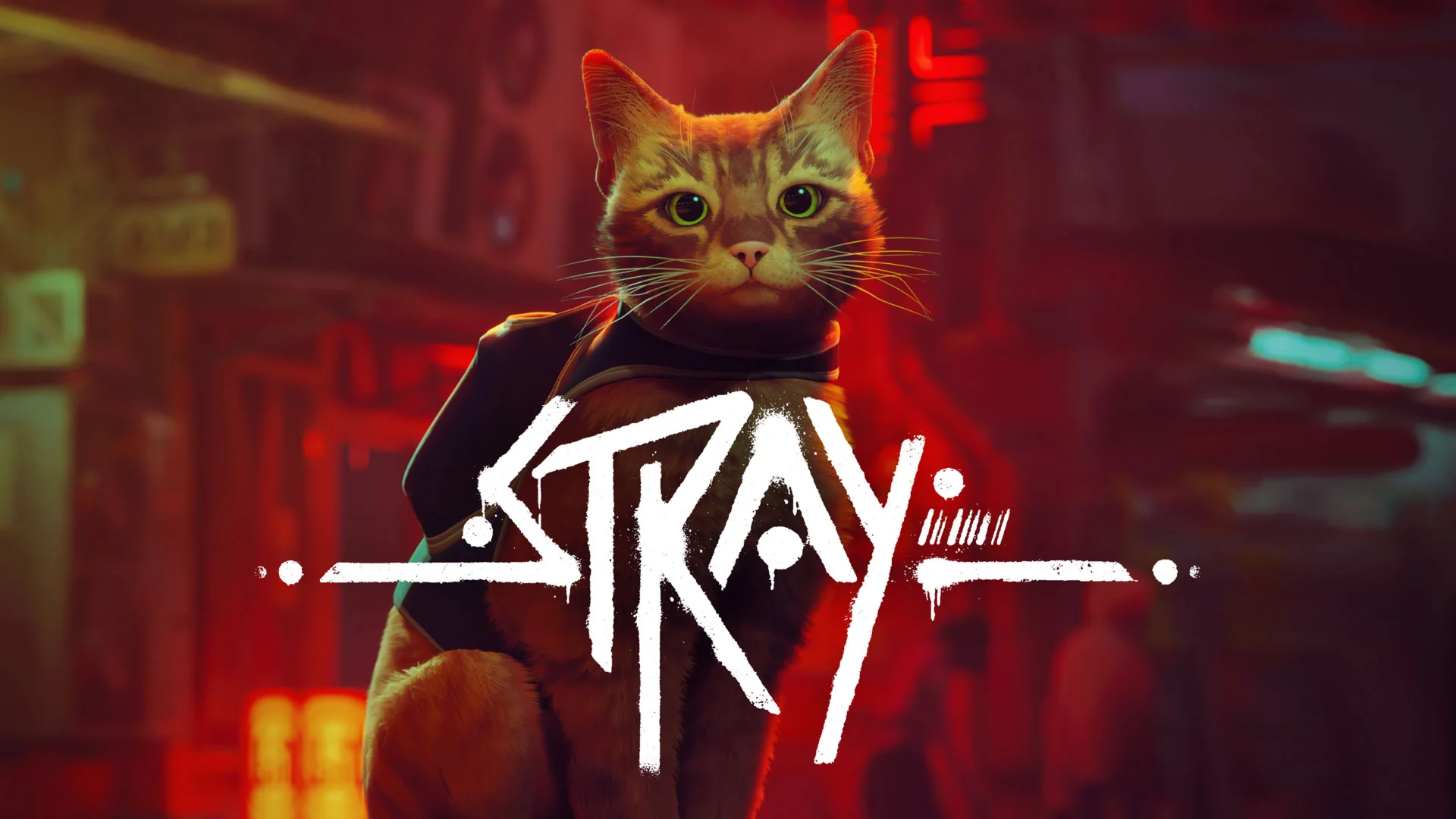 STRAY Steam + Подарки