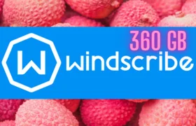 WINDSCRIBE VPN на 1 Год Смена Пароля ГАРАНТИЯ