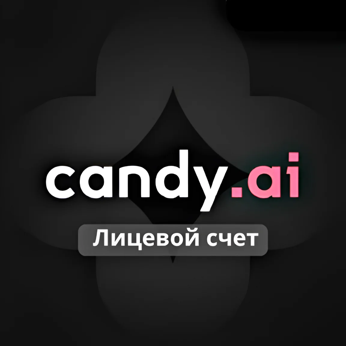 Лицевой счет Candy AI 1/3/12 месяцев по электронной по