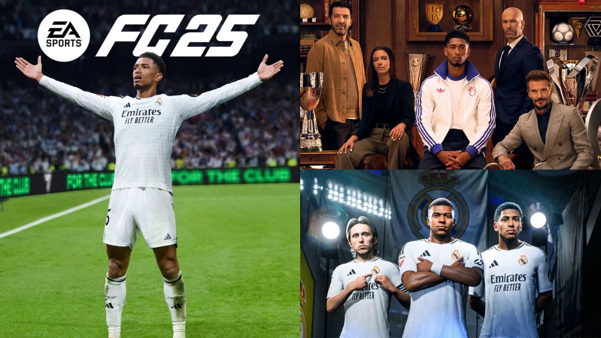 EA Sports FC 25 + FC 24 ULTIMATE GLOBAL
