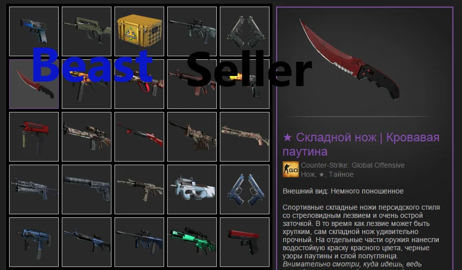 CS2 + СКИНЫС ИНВЕНТАРЕМ ДО 10 000 РУБЛЕЙПОД FACEIT