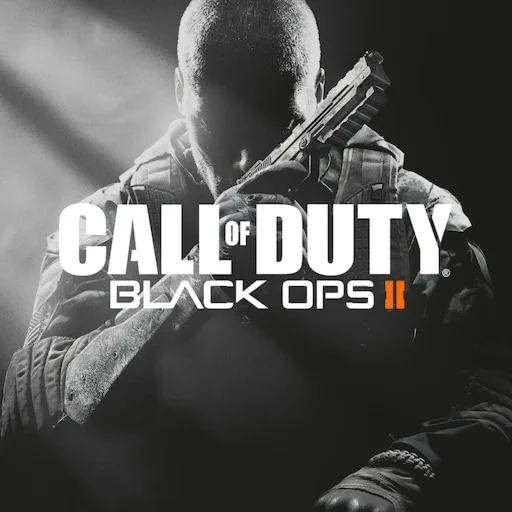 Все регионыCall of Duty: Black Ops 2 STEAM