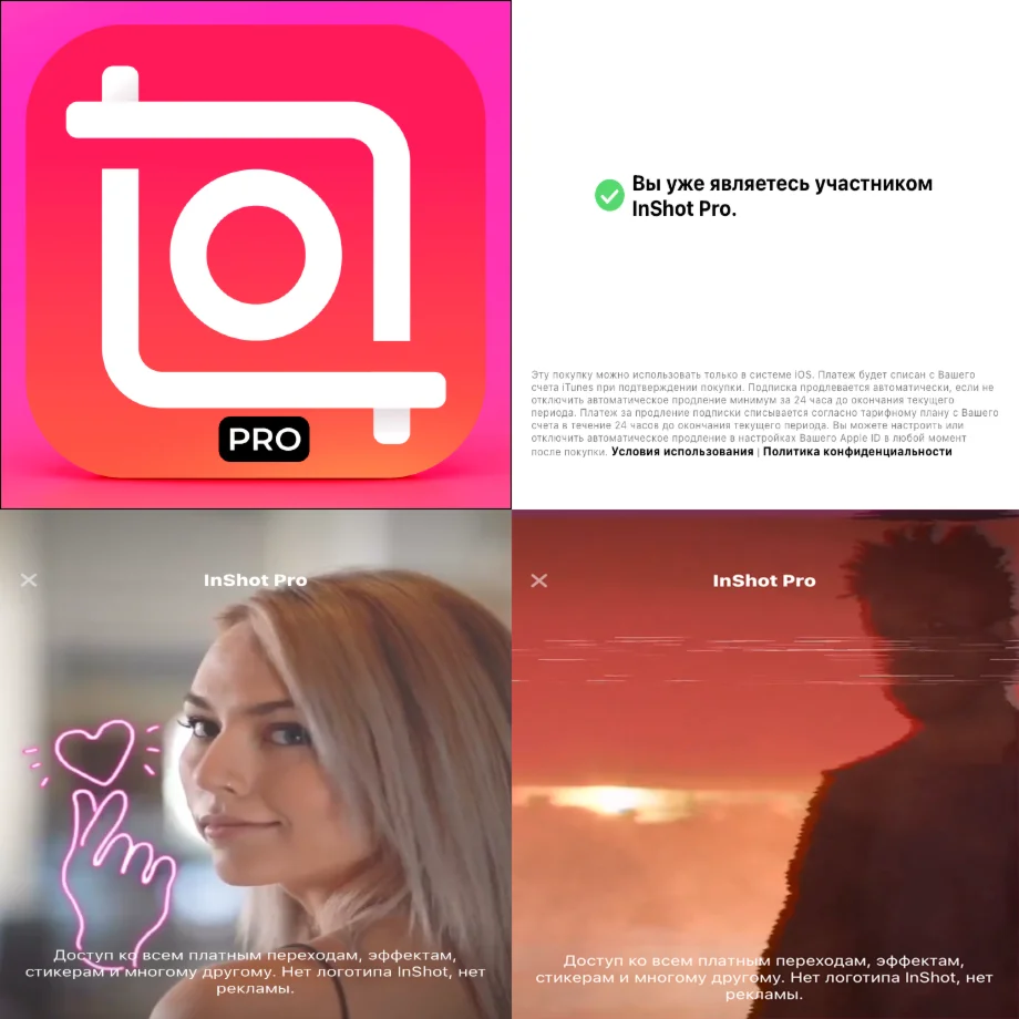 InShot Видео Редактор PRO iPhone ios AppStore iPad