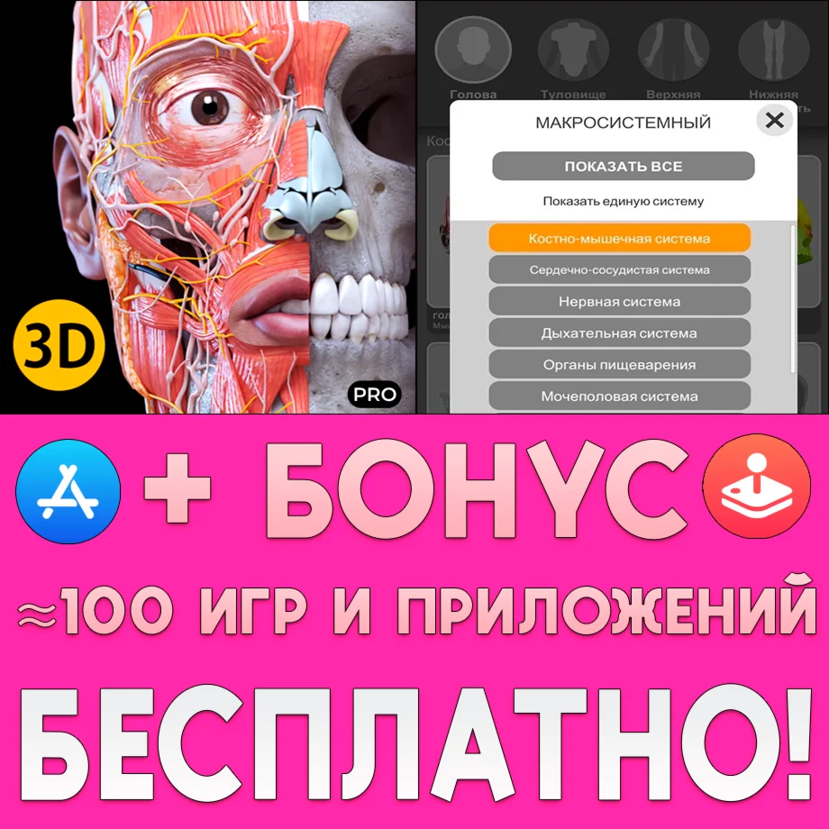 Анатомия 3D Атлас ПОЛНАЯ ВЕРСИЯ iPhone ios AppStore