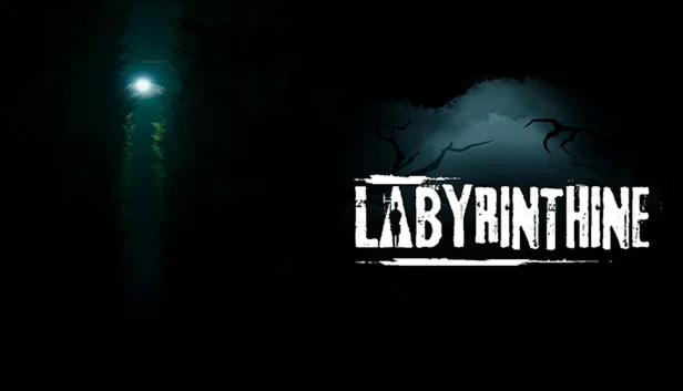 Labyrinthine - ОНЛАЙН STEAM Аккаунтна 30 дней