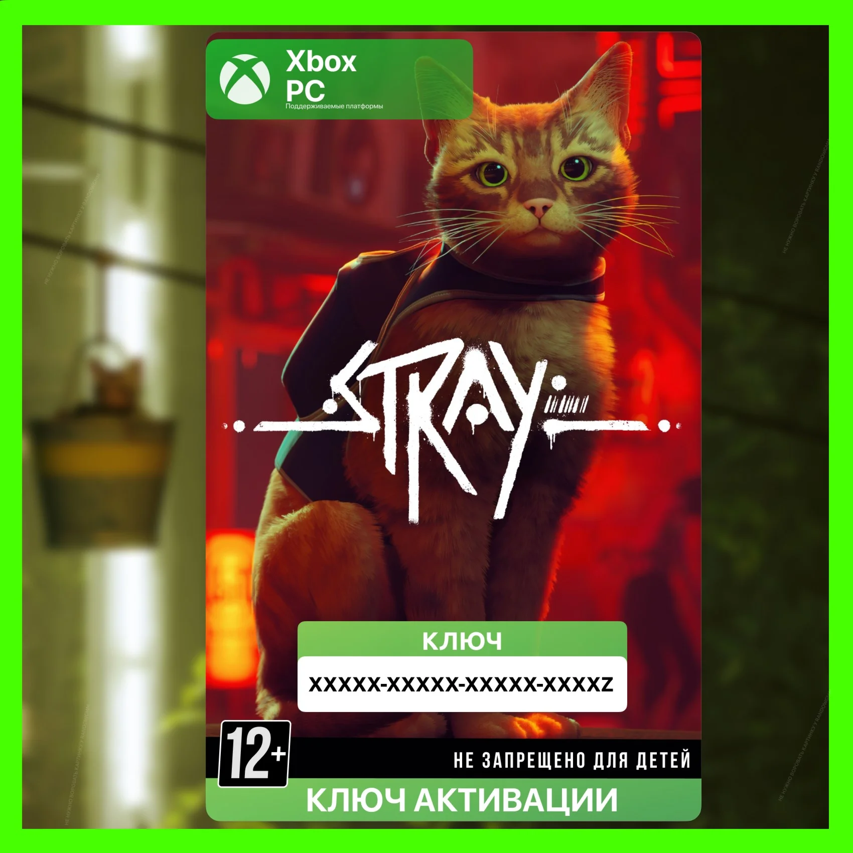 КЛЮЧ STRAY XBOX + PC