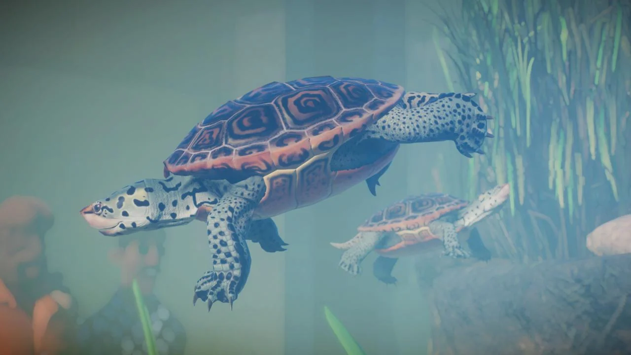 Planet Zoo - Aquatic Pack Steam DLC Весь мир