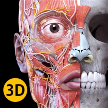 Анатомия - 3D Атлас Full Version Microsoft Store