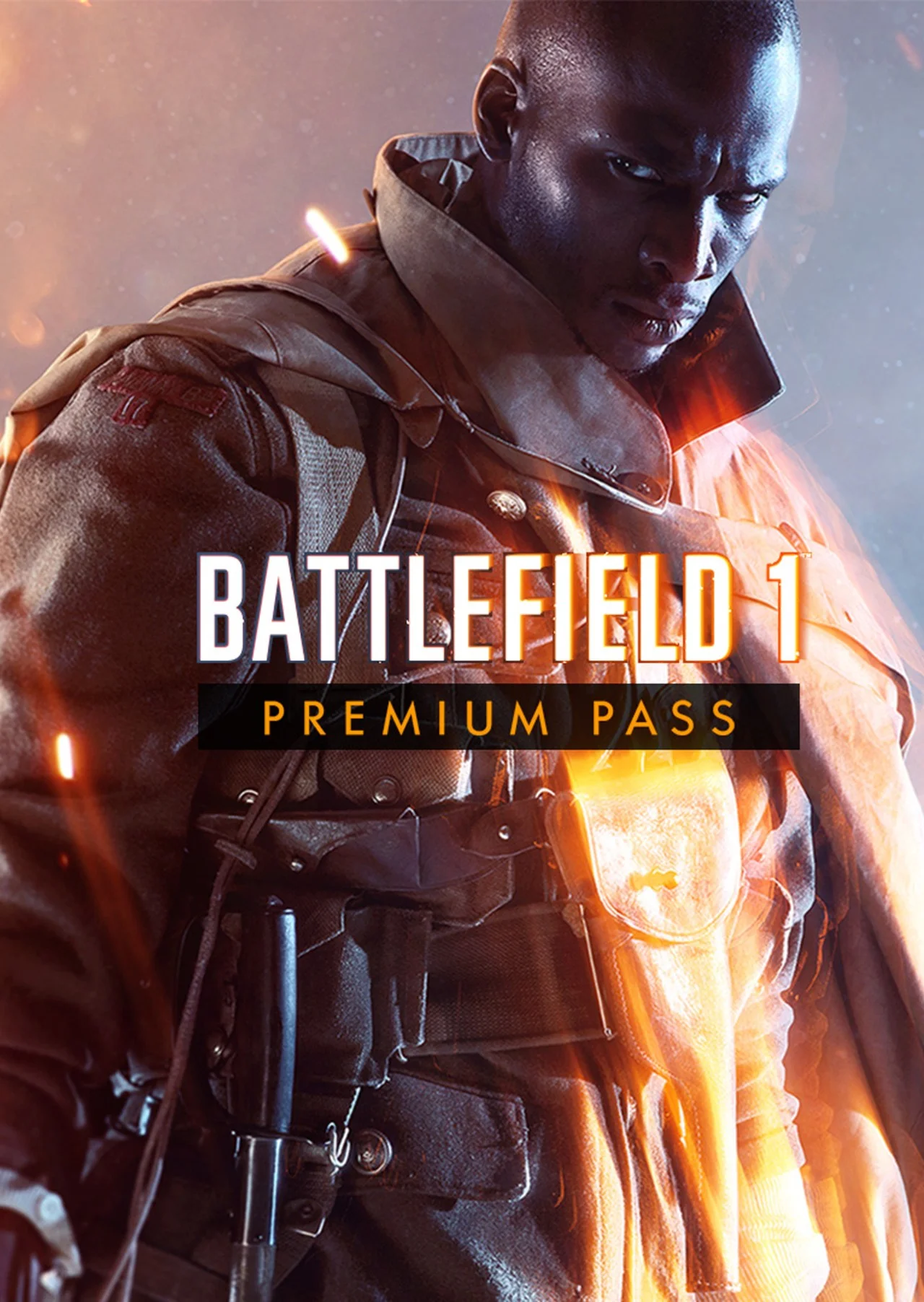 BATTLEFIELD 1 PREMIUM PASS EA App Полный доступ