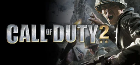 Call of Duty 2 2005 АВТОДОСТАВКА Steam gift Россия