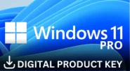 Windows 11 Professional OEM Key