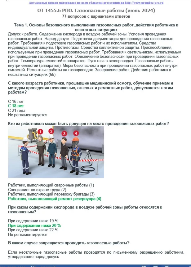 ОТ 14556 июнь 2024 РПО Газоопасные работы