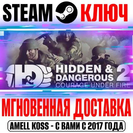 Hidden &amp Dangerous 2: Courage Under Fire Steam Ключ