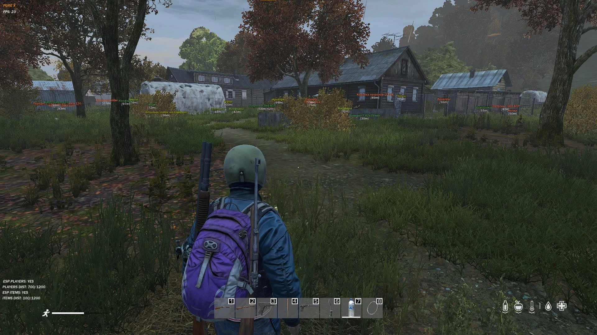 COLLAPSE для игры в DayZ
