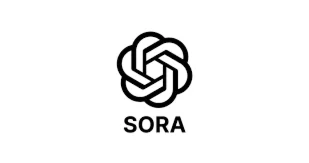 План Sora Ai 20plus общий счет 1 месяц