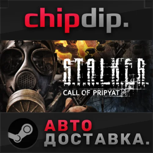 STALKER: Call of Pripyat STEAM АВТО RU/UA/KZ/СНГ