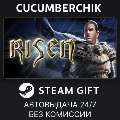 RisenSTEAM GIFT AUTORU/УКР/КЗ/СНГ