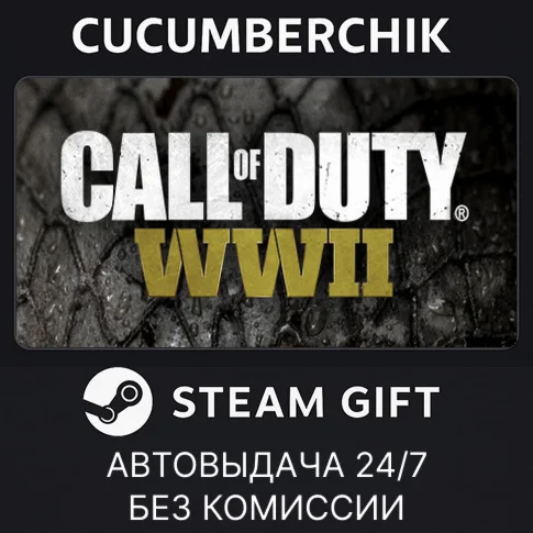 Call of Duty: WWIISTEAM GIFT AUTORU/УКР/КЗ/СНГ