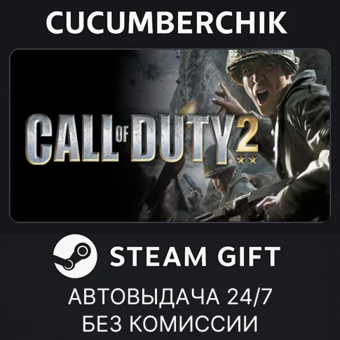Call of Duty 2STEAM GIFT AUTORU/УКР/КЗ/СНГ