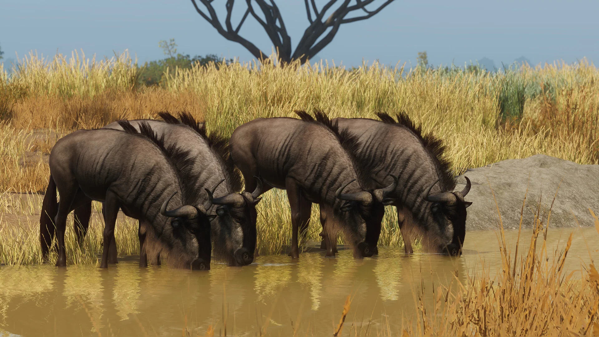 Planet Zoo: Grasslands Animal Pack Steam DLC