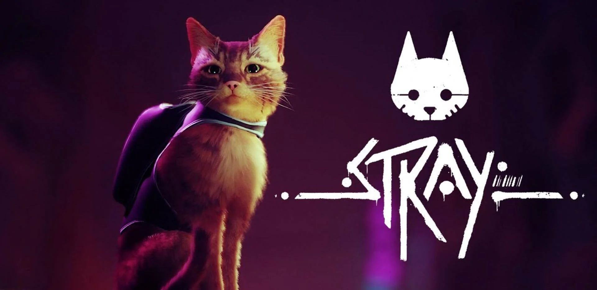 Stray + ОБНОВЛЕНИЯ GLOBAL OFFLINE
