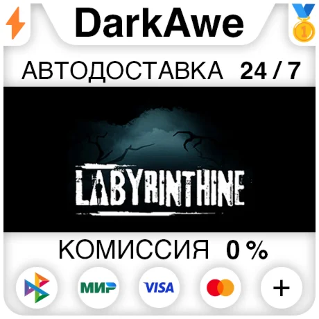 Labyrinthine STEAMRU АВТОДОСТАВКА 0%