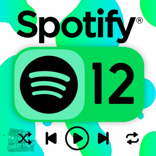 SPOTIFY PREMIUM 1-3-6-12 МЕСЯЦЕВ НА ЛЮБОЙ АККАУНТ