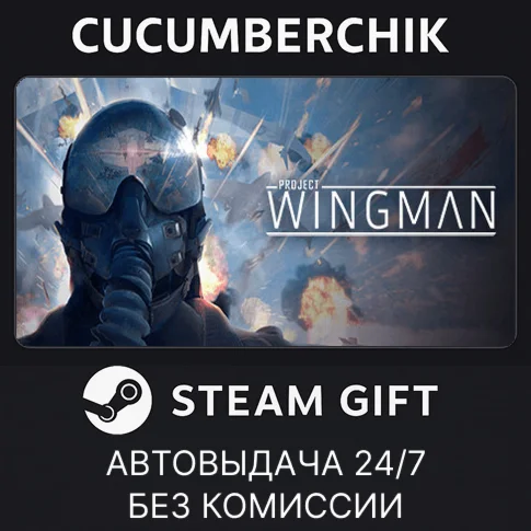 Project WingmanSTEAM GIFT AUTORU/УКР/КЗ/СНГ