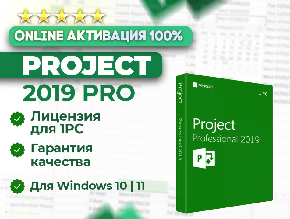 Ключ Project 2019 Pro ОНЛАЙН активация