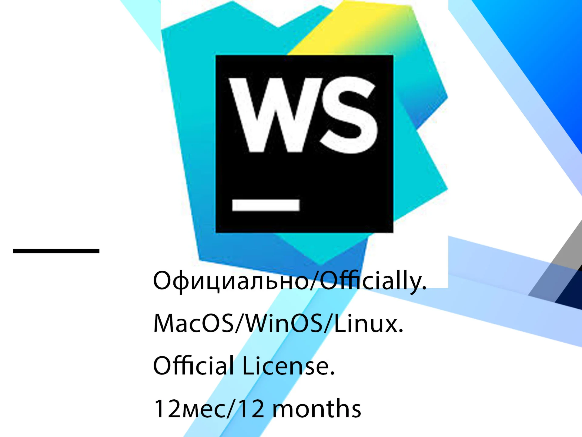WebsStorm EDU JetBrains 12 мес