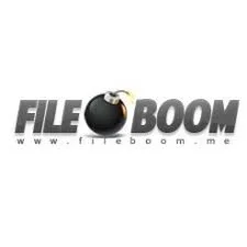 fileboom Premium Pro Account 3 дня 20 ГБ в день