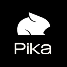 Купить Pikaart Ai Standard Pro Fancy Месяц Ваш