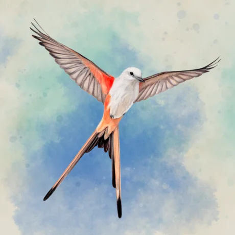 Wingspan: The Board Game iPhone ios iPad Appstore