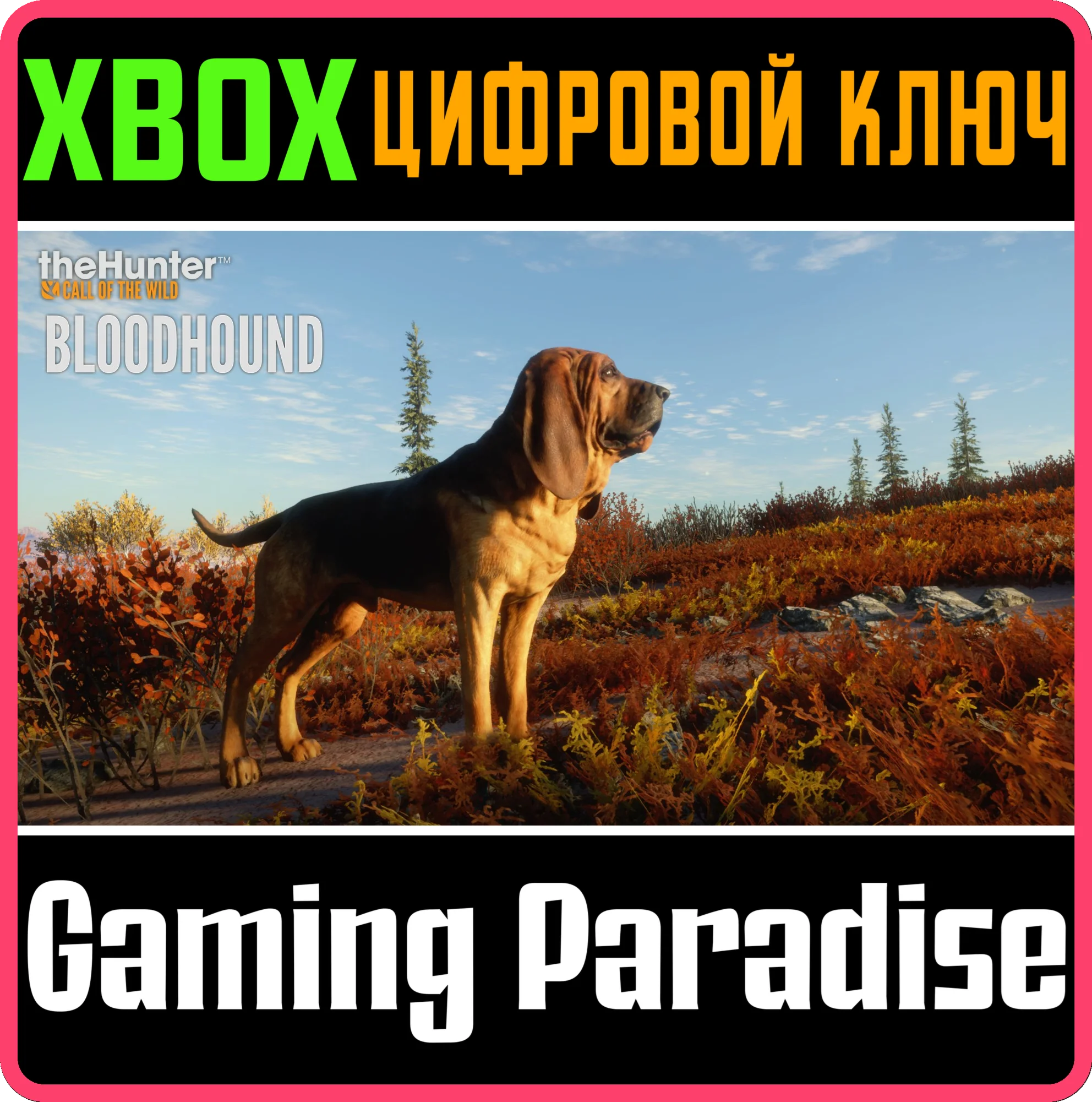 THEHUNTER: CALL OF THE WILD - BLOODHOUNDXBOX КЛЮЧ