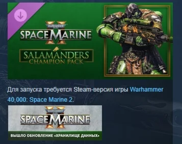 Warhammer 40000 Space Marine 2 Salamanders Champion Pa