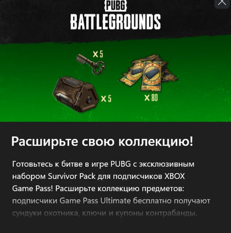 PUBG Эксклюзивный набор Выжившего №1 xbox