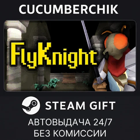 FlyKnightSTEAM GIFT AUTORU/УКР/КЗ/СНГ