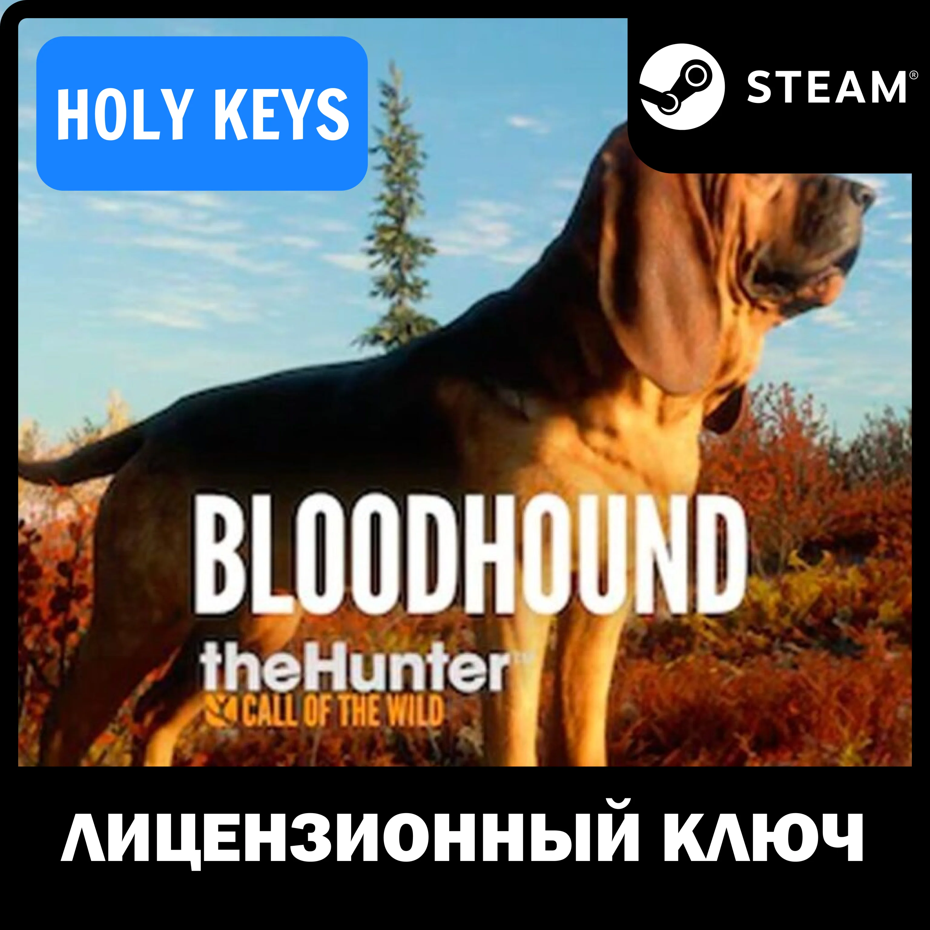 theHunter Call of the Wild - Bloodhound Steam Ключ+