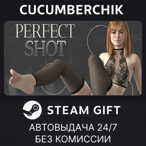 Perfect ShotSTEAM GIFT AUTORU/УКР/КЗ/СНГ