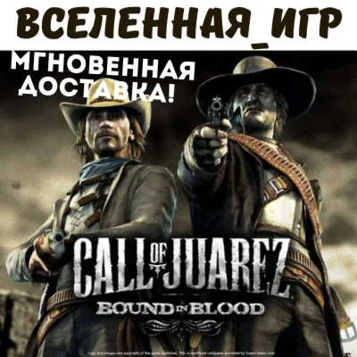 Call of Juarez: Bound in Blood РФ/СНГ STEAM КЛЮЧ