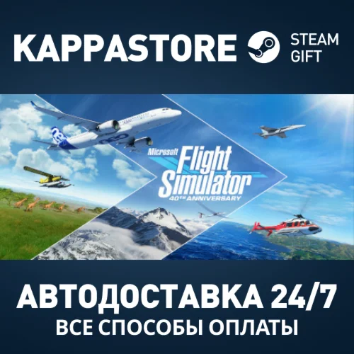 Microsoft Flight Simulator: 40th Anniversary Standard