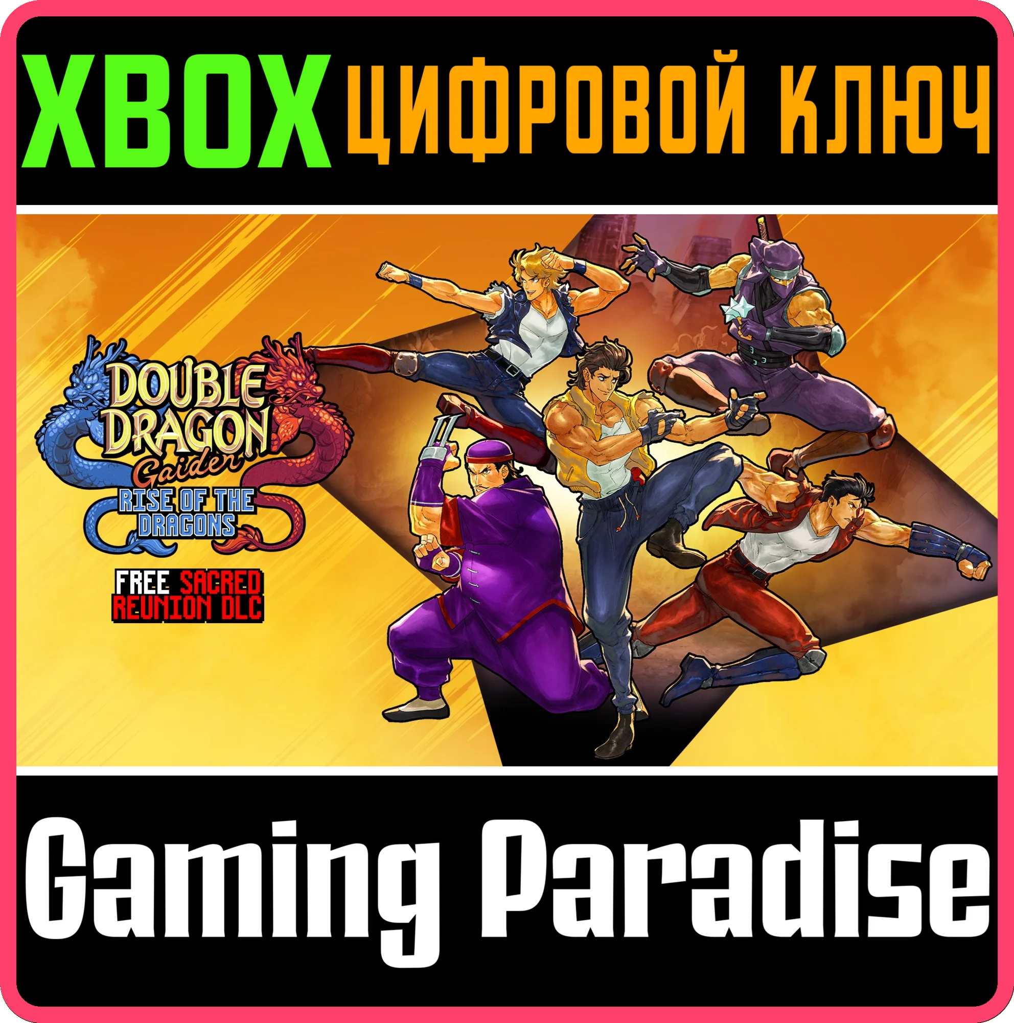 DOUBLE DRAGON GAIDEN: RISE OF THE DRAGONSXBOX КЛЮЧ