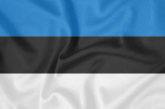 Hiddify VPN/Proxy Эстония Работает в РФ 1-6 мес