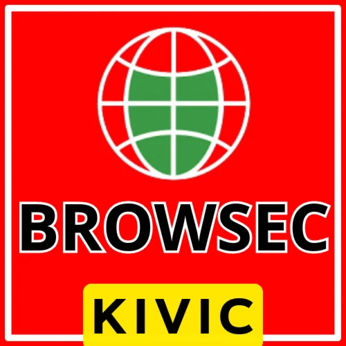 Browsec VPN Premium до 2 Лет 100% Работает в РФ