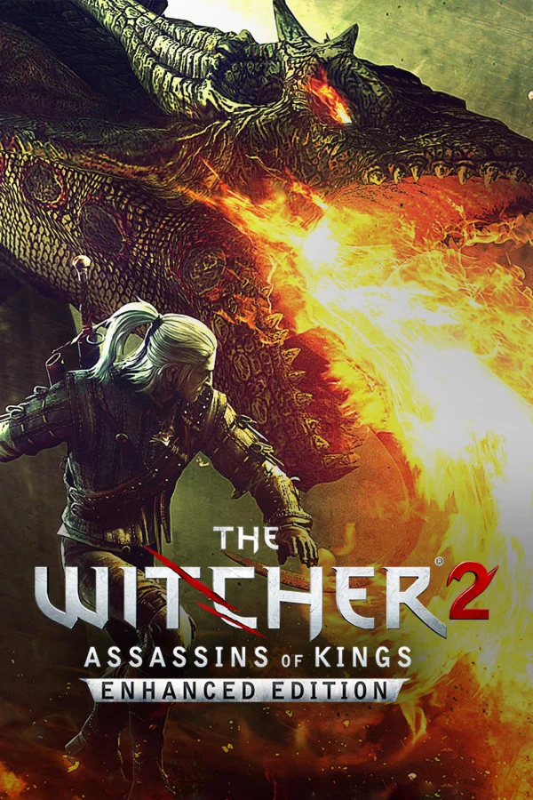 Witcher 2: Assassins of Kings Steam Gift ROW/RU/CIS