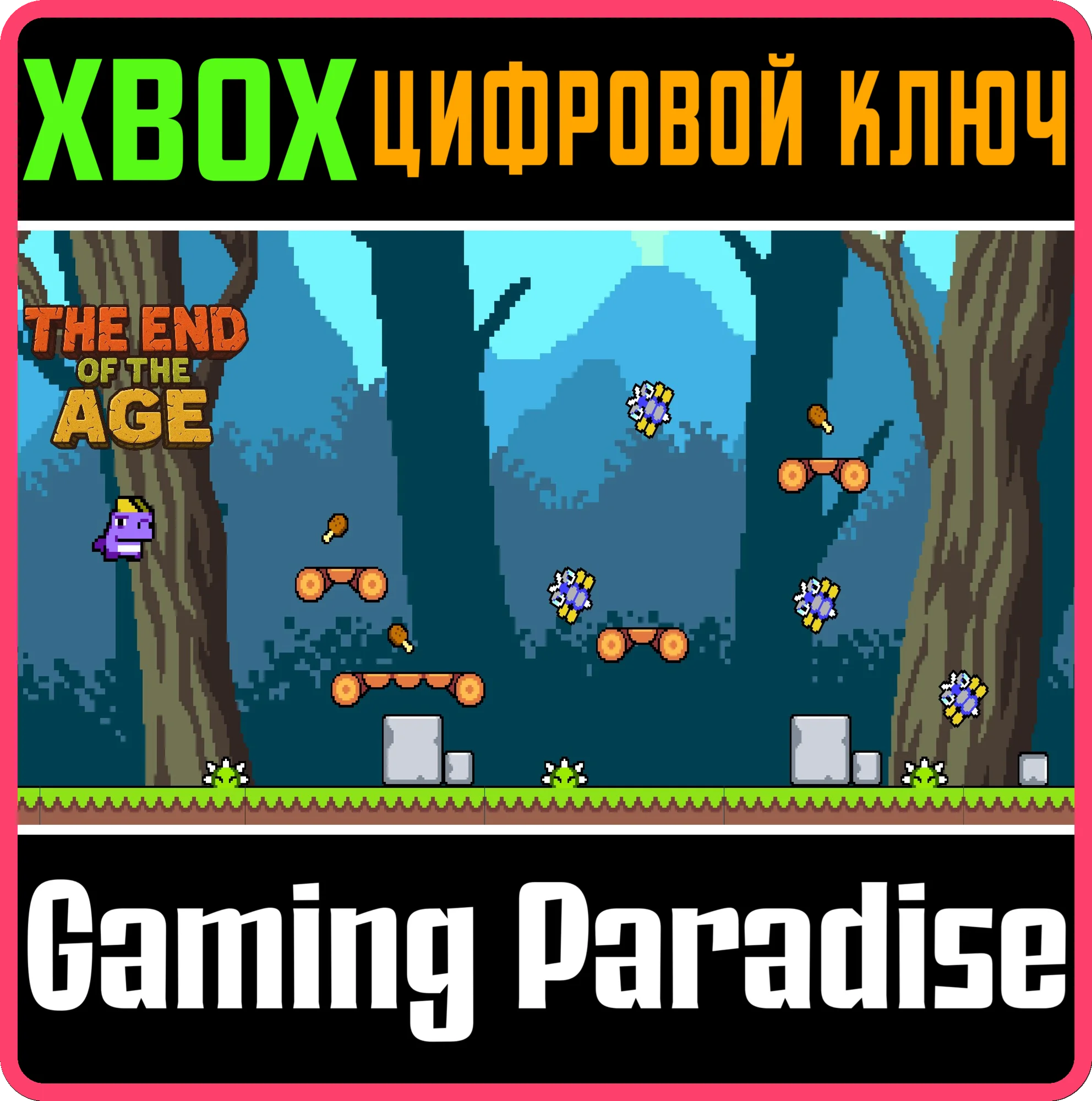 THE END OF THE AGE XBOX SERIES XBOX SERIES SX КЛЮЧ/К
