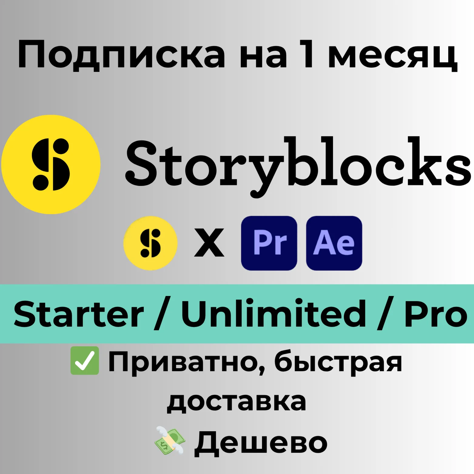 Storyblocks Starter/Unlimited/Pro на 1 месяц