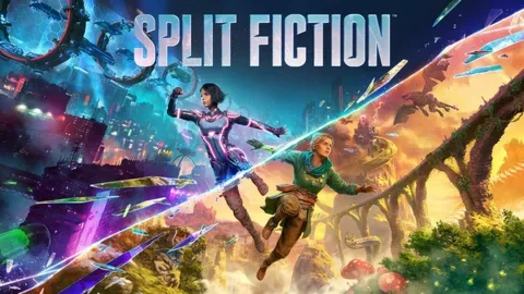 Split Fiction Ps5 общий